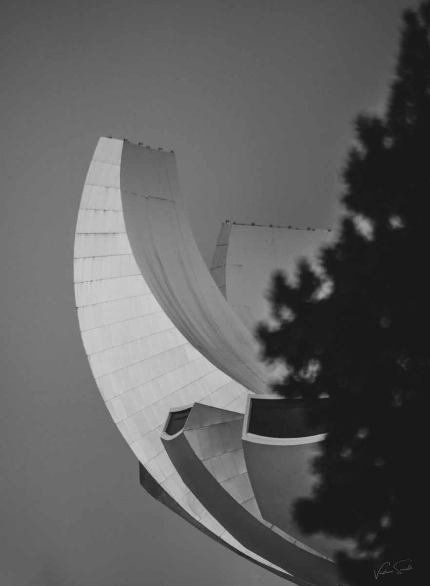 Photography by Vaishnov Srinath