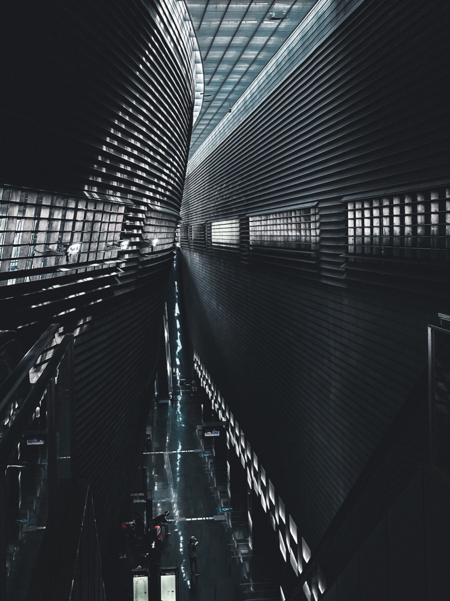 Photography by Vaishnov Srinath